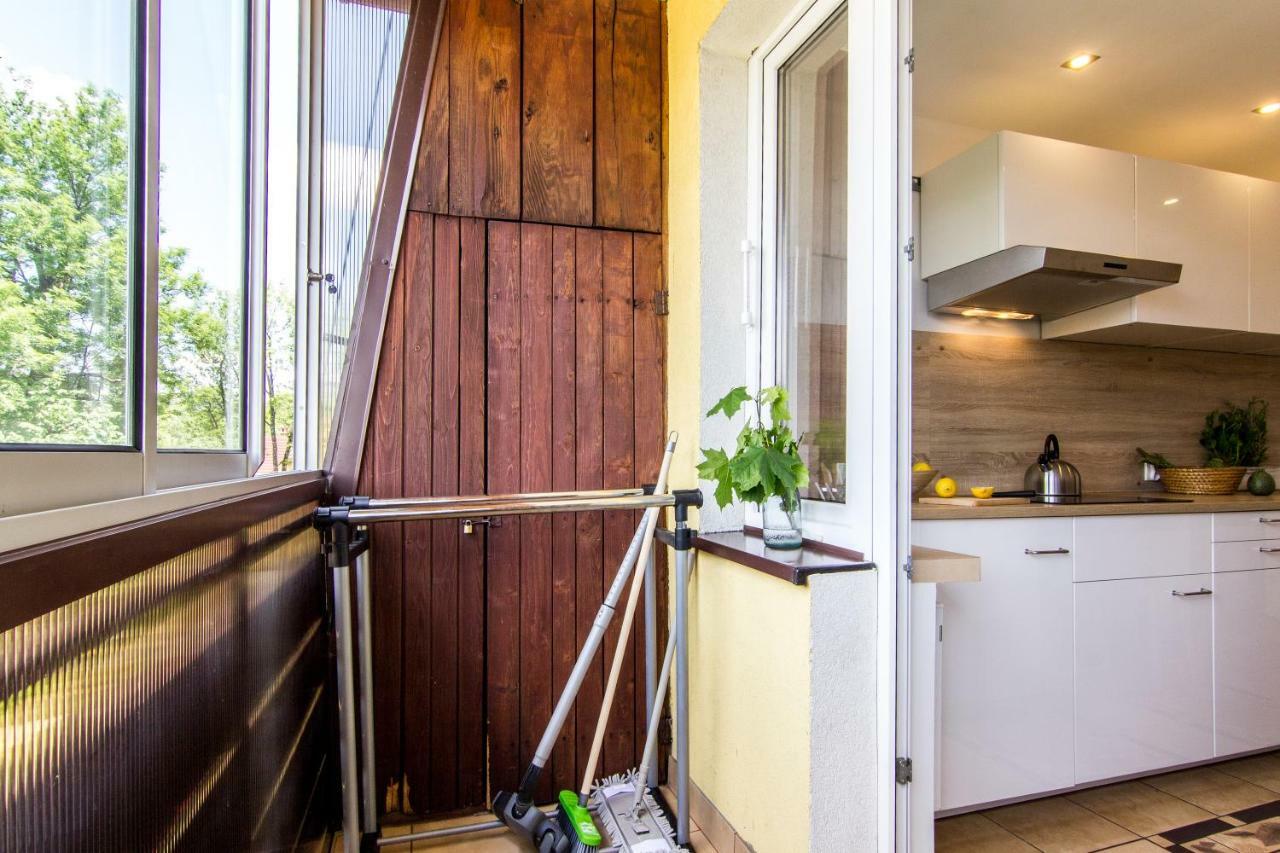 דירות Apartament Jula זקופאנה מראה חיצוני תמונה